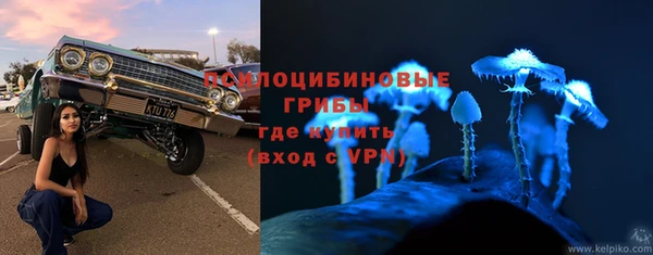 гашик Кукмор
