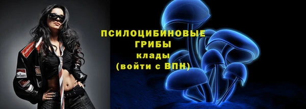 гашик Кукмор
