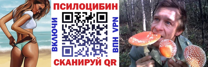 Галлюциногенные грибы Psilocybe  Купить где  Аргун 